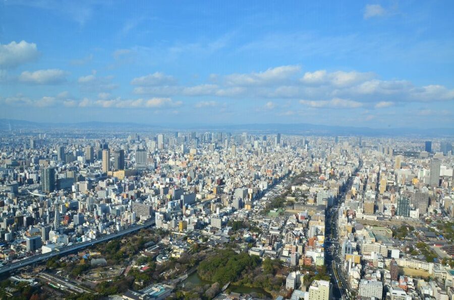 Osaka: Full-Day Sightseeing Tour by Private Vehicle - Dotonbori: Osaka after dark, even in daylight