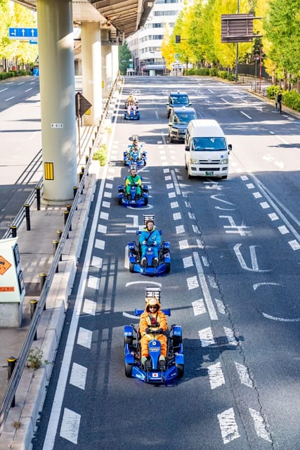 Osaka: Go Kart Tour on Osaka Streets with Guide - The paperwork you must get right