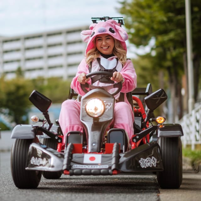 Osaka: Go Kart Tour on Osaka Streets with Guide - Who will enjoy this most?