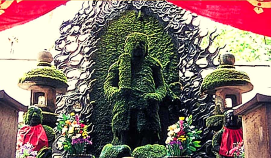 Osaka: Hotspots & Hidden Gems Walking Tour Private or Group - Kuromon Ichiba, Osaka’s market classroom