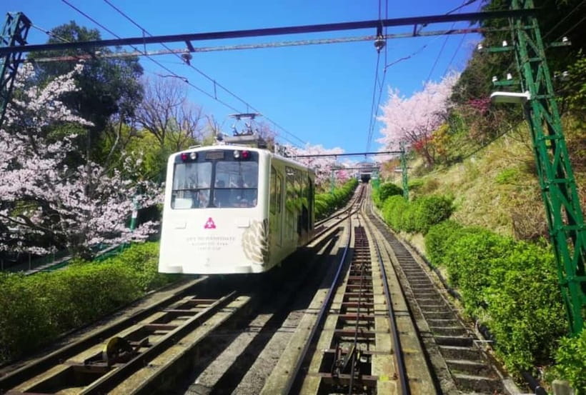 Osaka/Kyoto: Amanohashidate & Miyama Tour with Boat & Lunch - Practical tips for a smoother day