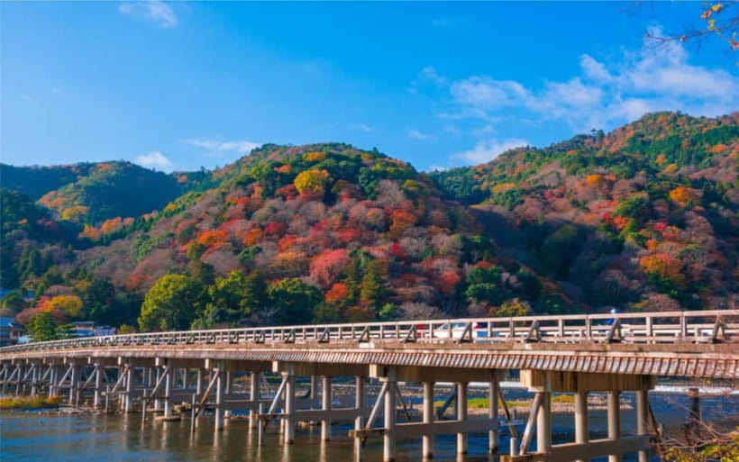 Osaka: Kyoto and Nara Private Day Trip - Fushimi Inari’s red torii gates