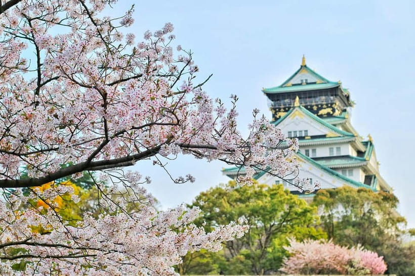 Osaka: Kyoto and Nara Private Day Trip - Walking, weather, and family comfort