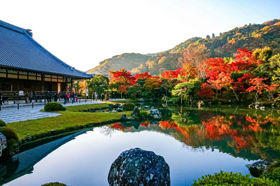 Osaka/Kyoto: Arashiyama, Nara & Fushimi Inari Shrine w/Lunch - Nara Park: deer, open paths, and a giant Buddha