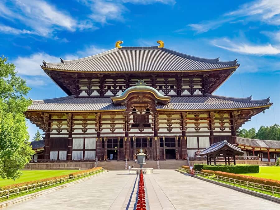 Osaka/Kyoto: Arashiyama, Nara & Fushimi Inari Shrine w/Lunch - Fushimi Inari Shrine: red torii gates with a crowded entrance