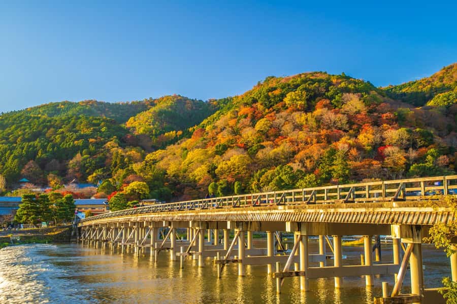 Osaka/Kyoto: Arashiyama, Nara & Fushimi Inari Shrine w/Lunch - Should you book the Osaka and Kyoto highlights tour?