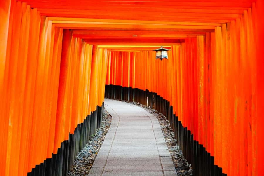 Osaka/Kyoto: Arashiyama, Nara & Fushimi Inari Shrine w/Lunch - Arashiyama Bamboo Forest: a short walk through tall green stalks