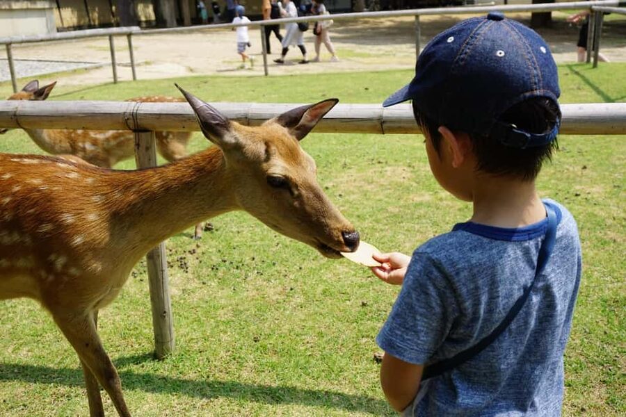 Osaka/Kyoto: Arashiyama, Nara Park, Fushimi Shrine Tour - Basic guidance means you need to prepare