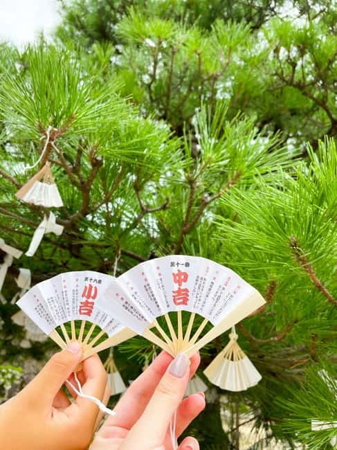Osaka: Kyoto By The Sea with Amanohashidate & Ine no Funaya - Chionji Temple and the rotating Kaisen Bridge