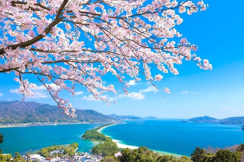 Osaka: Kyoto By The Sea with Amanohashidate & Ine no Funaya - Ine no Funaya, a village built over the bay