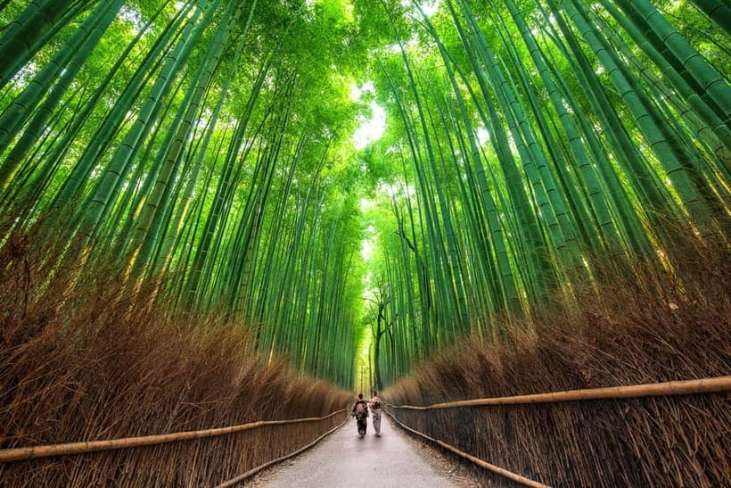 Osaka/Kyoto: Katsuoji, Kinkakuji, Arashiyama 1-Day Bus Tour - What the $56 price really covers