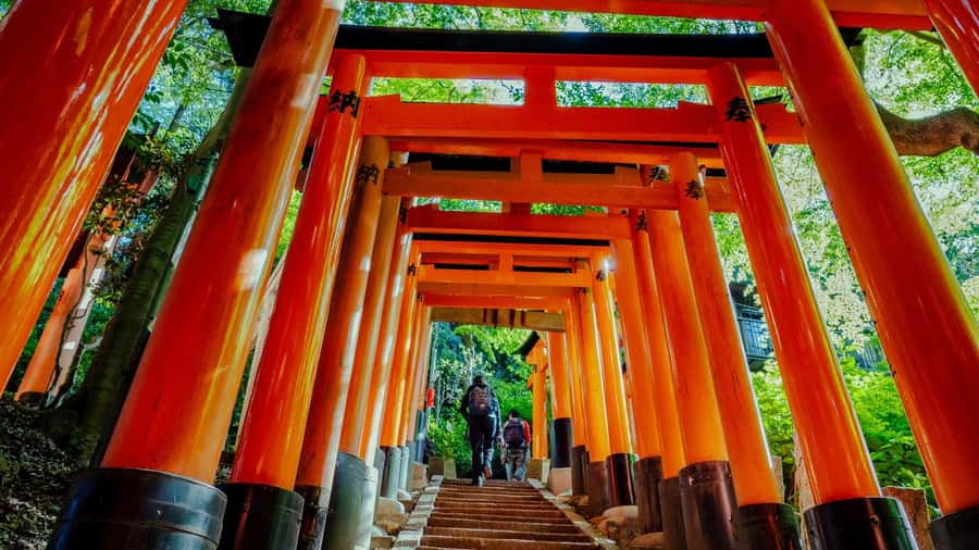Osaka/Kyoto:Kinkakuji,Arashiyama,FushimiInariShrine,NaraPark - One bus, four famous sights