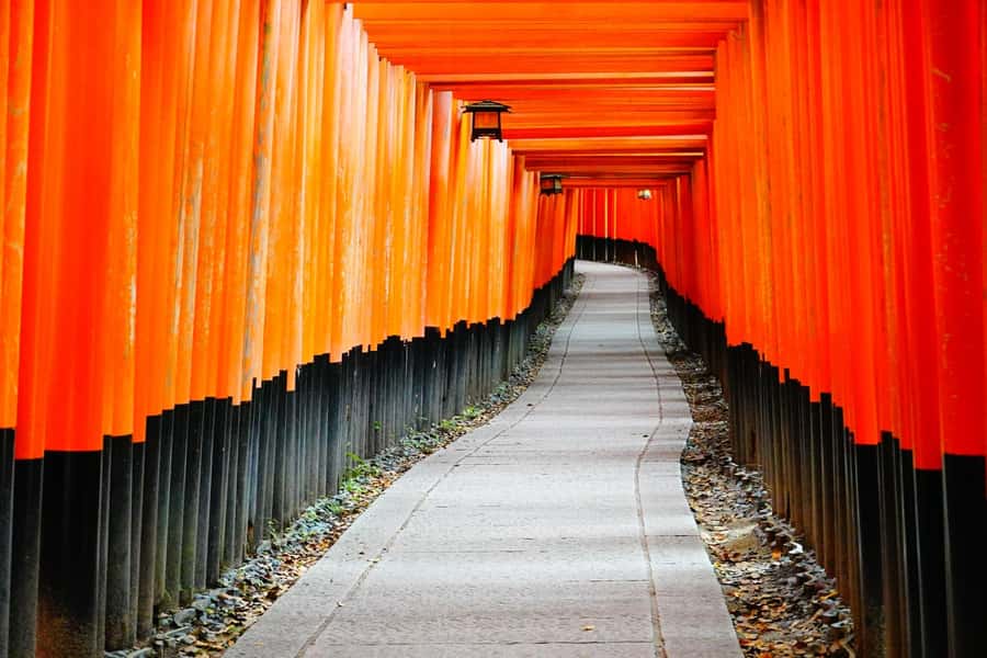 Osaka/Kyoto:Kinkakuji,Arashiyama,FushimiInariShrine,NaraPark - Kinkaku-ji: the Golden Pavilion in the afternoon light