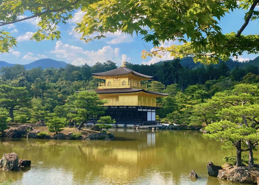 Osaka/Kyoto:Kinkakuji,Arashiyama,FushimiInariShrine,NaraPark - The walking, crowds, and time limits