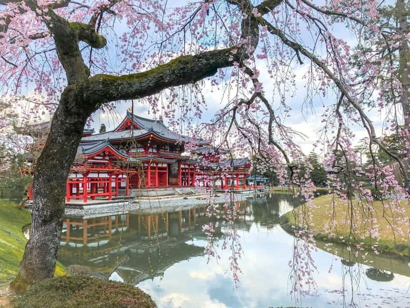 Osaka: Kyoto & Nara & Uji Historical and Scenic One-Day Tour - Todaiji and the great Buddha