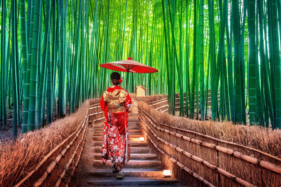 Osaka/Kyoto: Private Kyoto and Nara Day Trip - Key points to know before booking