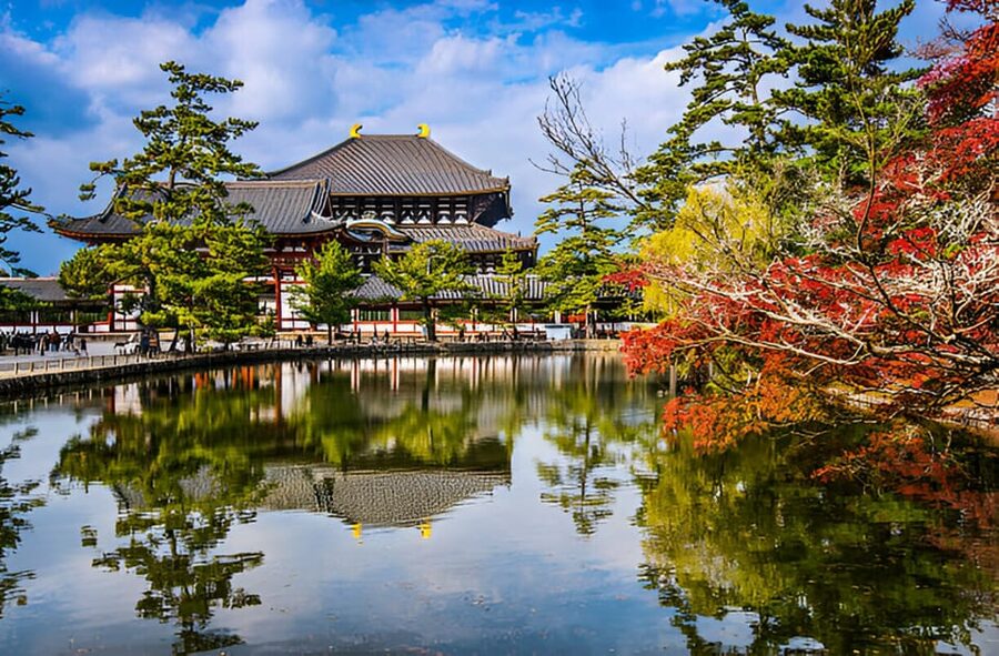 Osaka/Kyoto: Private Kyoto and Nara Day Trip - Kasuga-taisha and the quieter shrine experience