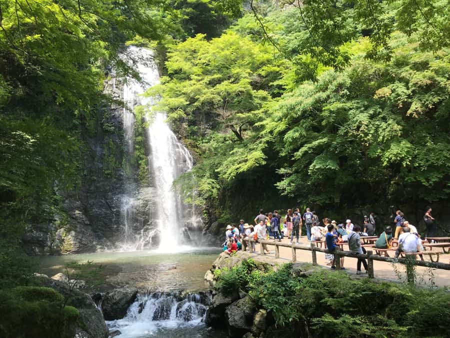 Osaka: Mino Forest Walk and Giant Waterfall with Local Lunch - The first hour: riverside paths and local Mino
