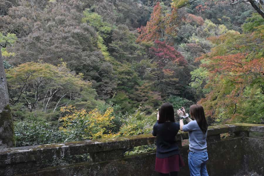 Osaka: Mino Forest Walk and Giant Waterfall with Local Lunch - What the $79 price really covers
