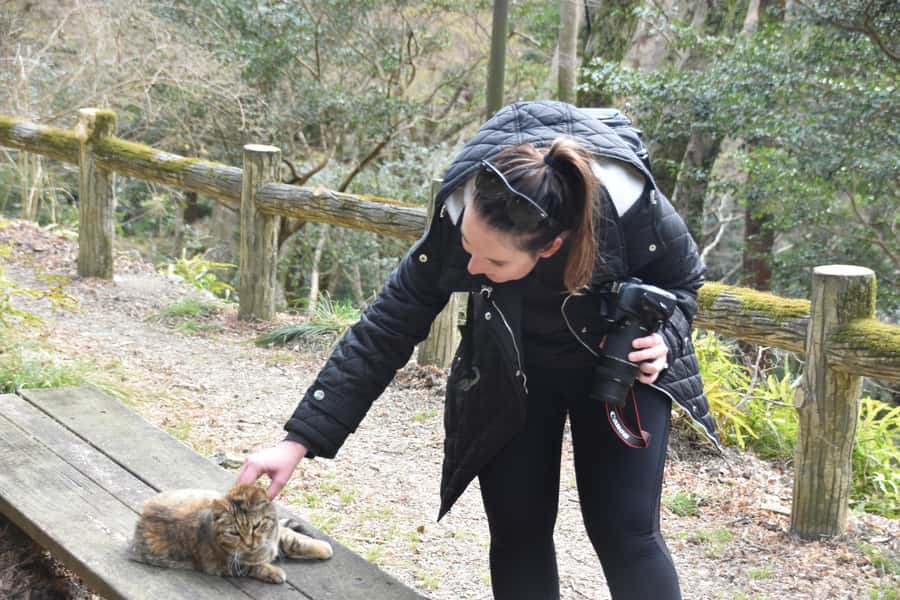 Osaka: Mino Forest Walk and Giant Waterfall with Local Lunch - My call: book it for a low-effort nature day