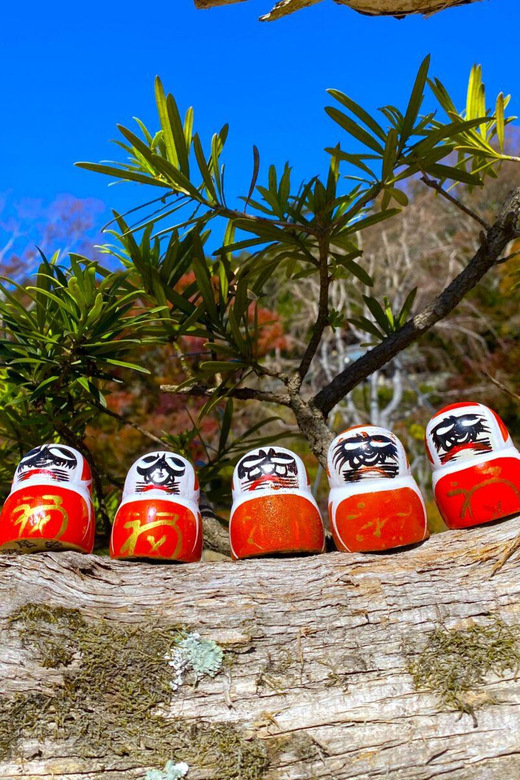 Osaka: Minoh, Katsuoji Temple, & Minoh Falls Full-day Tour - Is $135 good value?