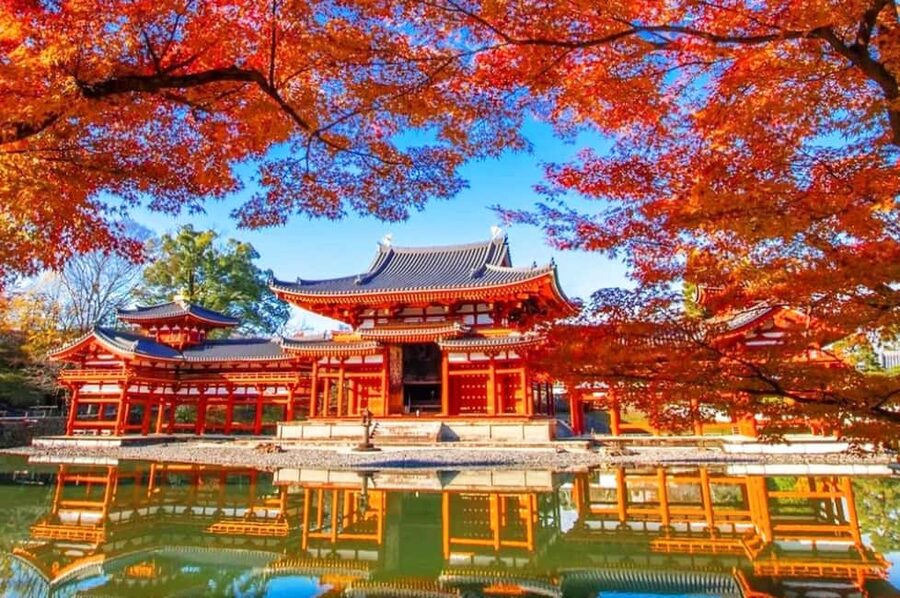 Osaka: Nara and Uji Day Trip with Deer Park and Hot Spring - Key points to know before booking