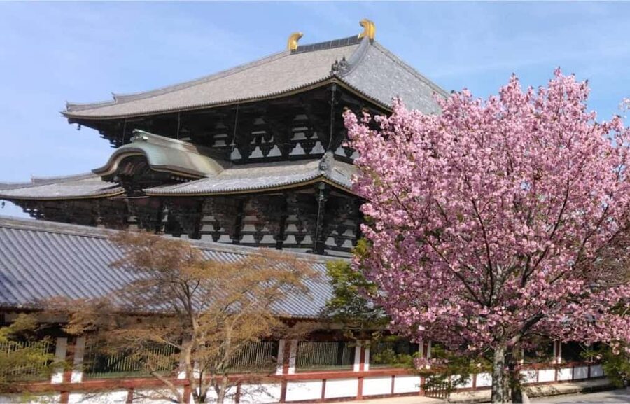 Osaka: Nara and Uji Day Trip with Deer Park and Hot Spring - From Namba to Nara Park in 70 minutes