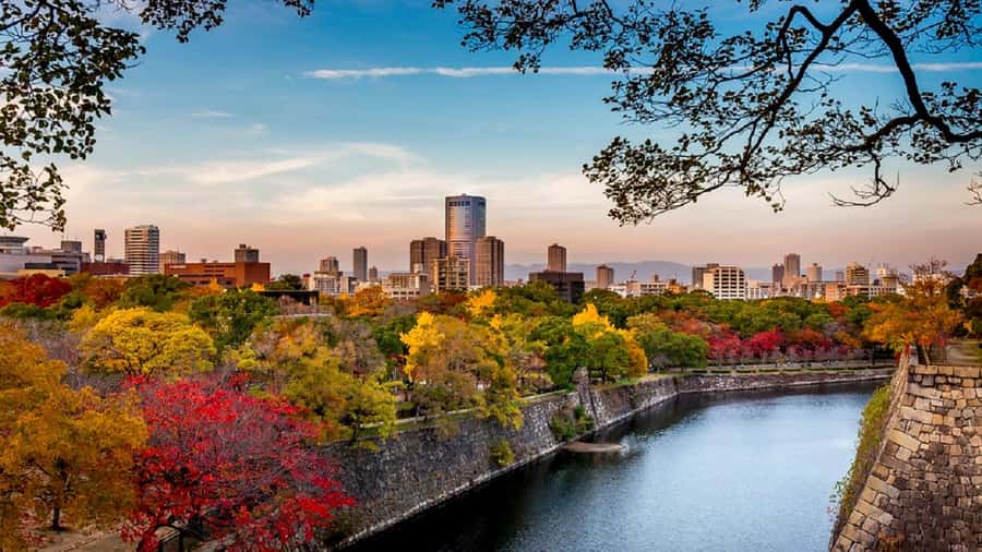 Osaka: Osaka Castle 3 hours Historical Walking Tour - Why this Osaka Castle walk is worth three hours