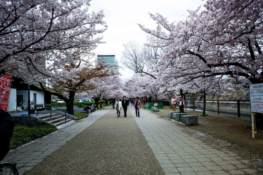 Osaka: Osaka Castle 3 hours Historical Walking Tour - The observation deck and Osaka views