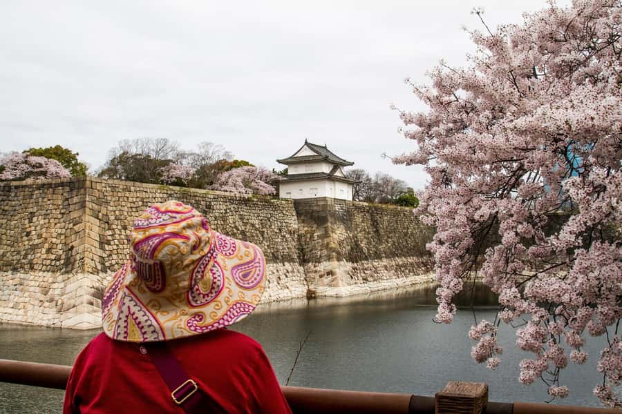Osaka: Osaka Castle 3 hours Historical Walking Tour - Nishinomaru Garden and the best castle photographs