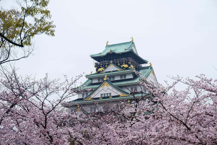 Osaka: Osaka Castle 3 hours Historical Walking Tour - Price, guide style, and what you actually receive