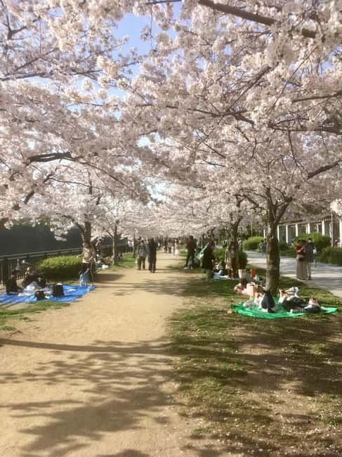 Osaka: Private and Fully Customized Tour with Hotel Meet Up - Key points to know before booking