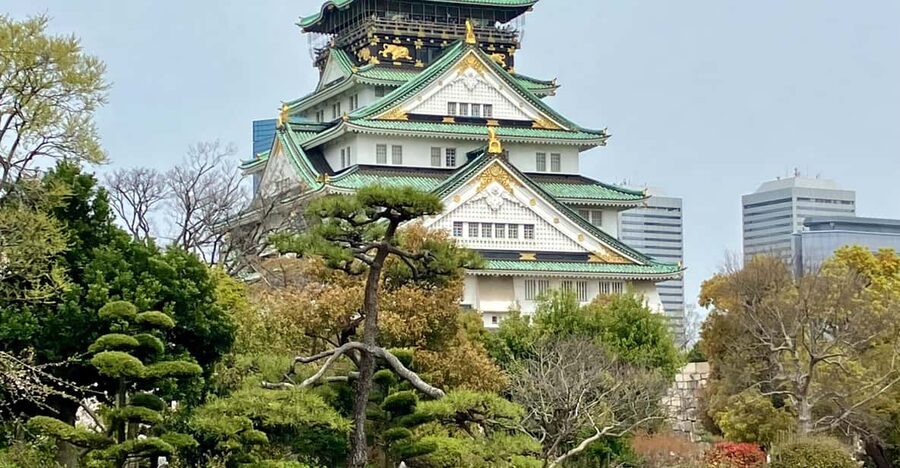 Osaka: Private and Fully Customized Tour with Hotel Meet Up - Dotonbori, Osaka’s neon finish
