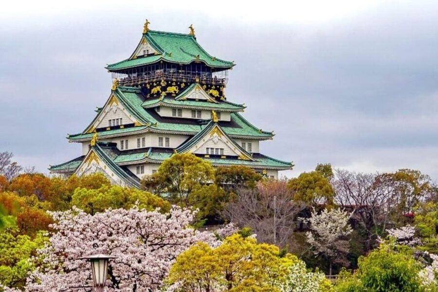Osaka: Private Custom Walking Tour with a Local Guide - Guides who add more than a memorized script