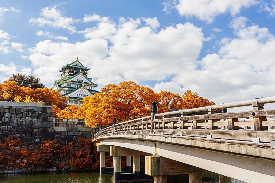 Osaka Private Tour with Government-Licensed Guide - How the Guides Shape the Experience