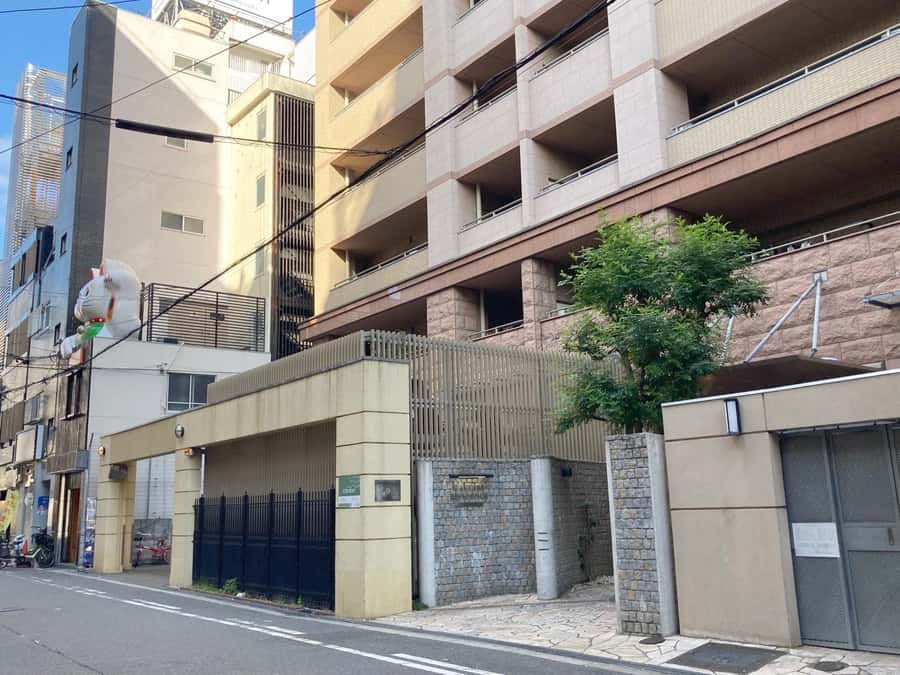 Osaka: Ramen and Gyoza Cooking Class in Dotonbori - Dietary adjustments and practical limits