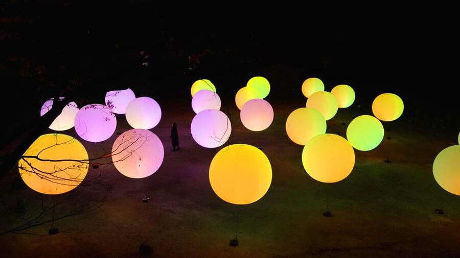 Osaka: teamLab Botanical Garden Entry Ticket - Who will enjoy this nighttime garden most?