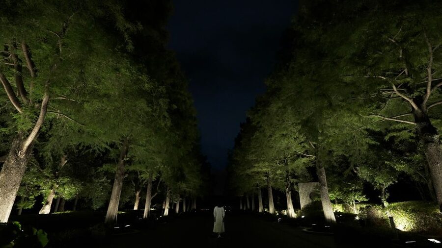 Osaka: teamLab Botanical Garden Entry Ticket - The central pond is the natural heart of the route