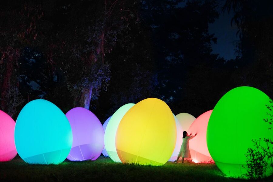 Osaka: teamLab Botanical Garden Entry Ticket - TeamLab’s lights respond to people and nature