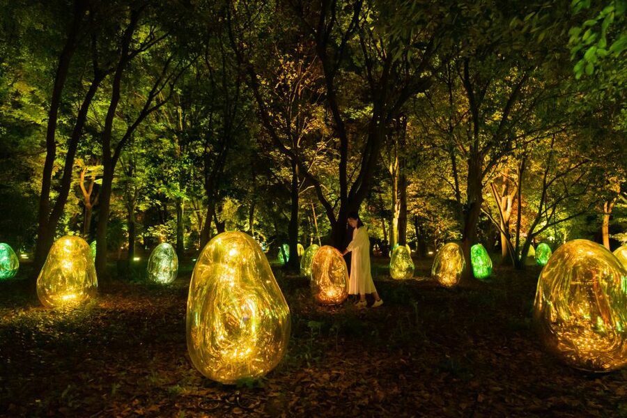 Osaka: teamLab Botanical Garden Entry Ticket - Is the $11 ticket good value?