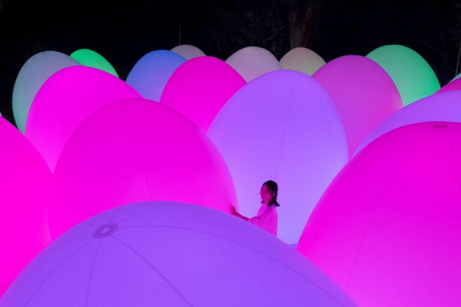 Osaka: teamLab Botanical Garden Entry Ticket - Start with Nagai Botanical Garden’s plants