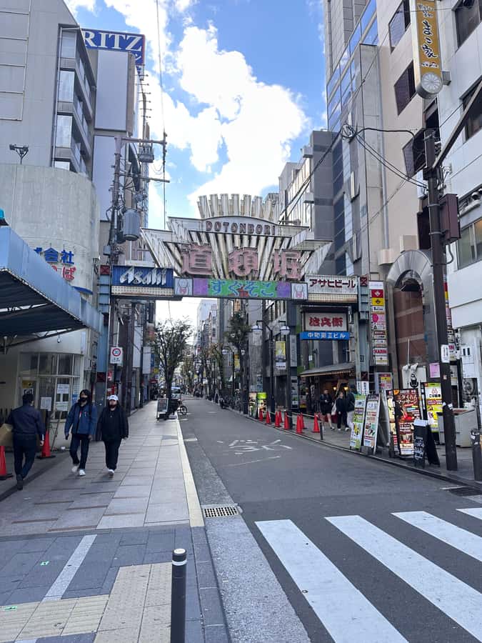 Osaka: Visit the must-see places. - Namba and Dotombori after dark energy