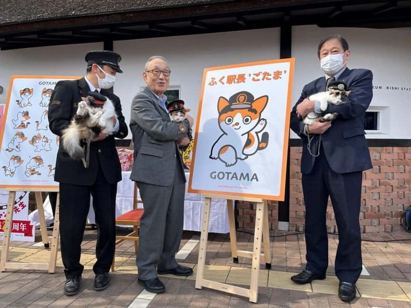 Osaka: Wakayama Cat Train, Seafood market, Hot Springs Tour - Key points at a glance