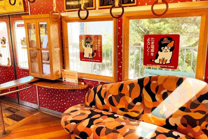 Osaka: Wakayama Cat Train, Seafood market, Hot Springs Tour - Why this Wakayama day trip works
