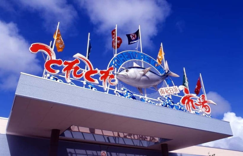 Osaka: Wakayama Cat Train, Seafood market, Hot Springs Tour - Senjojiki’s rock shelves above the Pacific