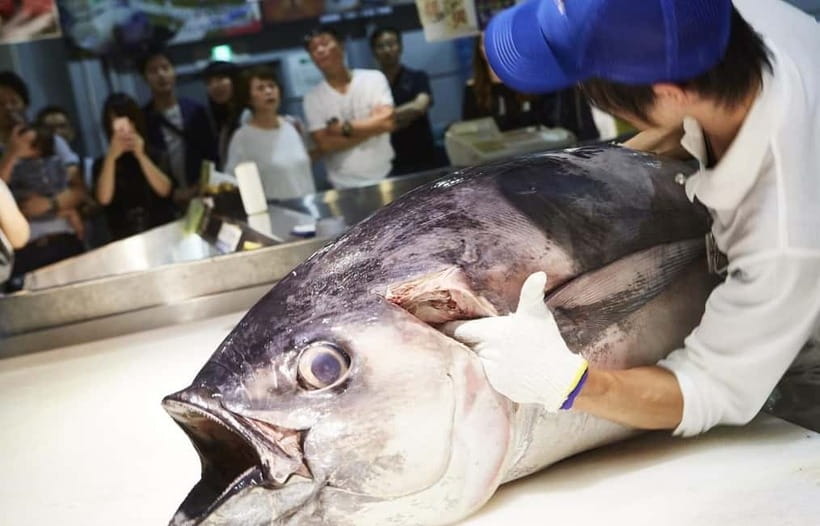 Osaka: Wakayama Cat Train, Seafood market, Hot Springs Tour - Who should book this day out?