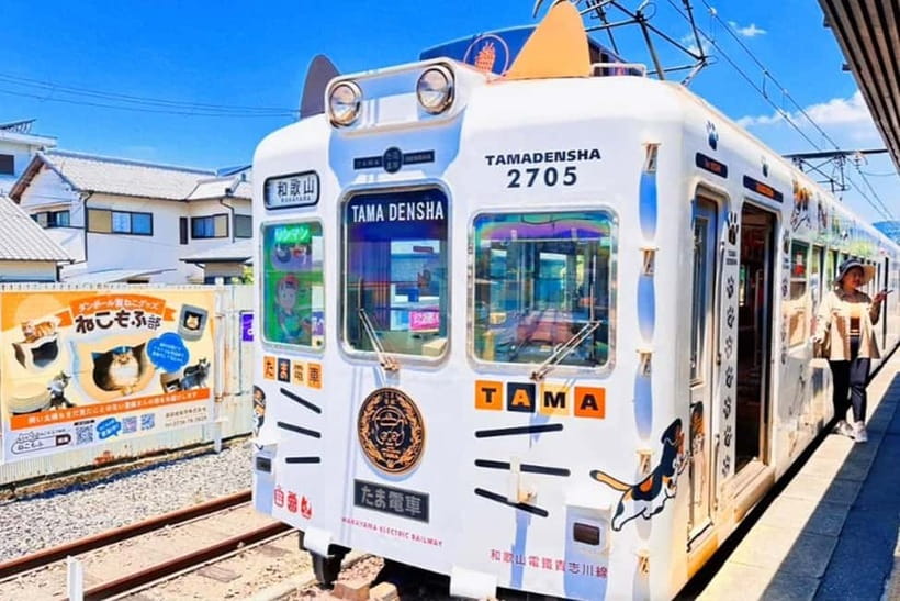 Osaka: Wakayama Cat Train, Seafood market, Hot Springs Tour - Kishi Station and the cat who saved a railway