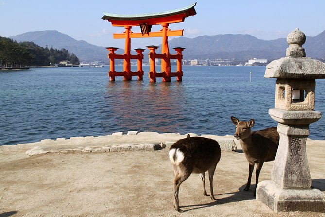 Peaceful Hiroshima & Miyajima UNESCO 1 Day Bus Tour - Key Points Before You Book
