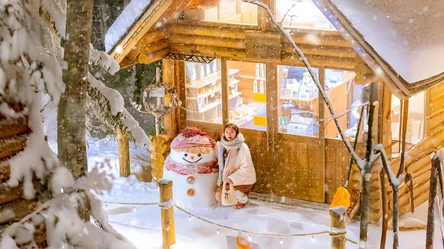 Penguin Fun & Snowmobile : Sapporo Winter (Asahiyama Zoo) - At a glance: the details that matter