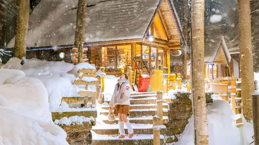 Penguin Fun & Snowmobile : Sapporo Winter (Asahiyama Zoo) - Why Asahiyama Zoo makes this day worth considering